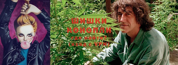 прущие крисы Белоозёрский