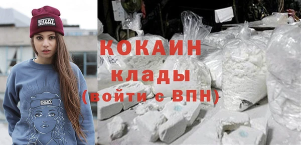сатива Богданович