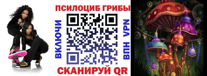 цена   Воронеж  Псилоцибиновые грибы MAGIC MUSHROOMS 
