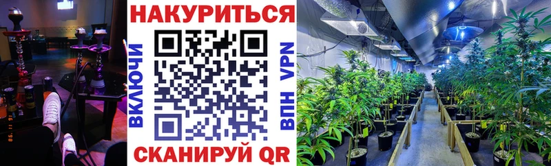 darknet Telegram  как найти наркотики  Воронеж  Шишки марихуана план 